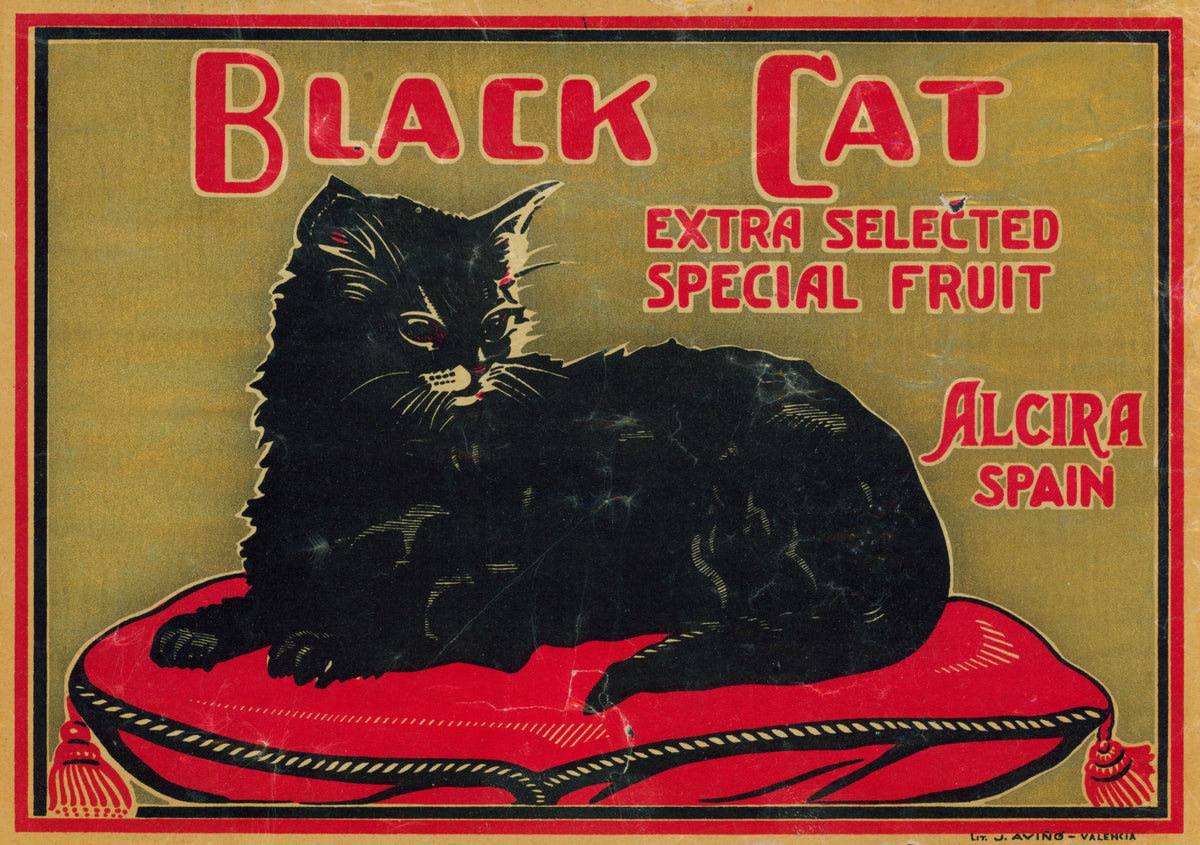 Black Cat- Spanish Crate Label - Authentic Vintage Antique Print