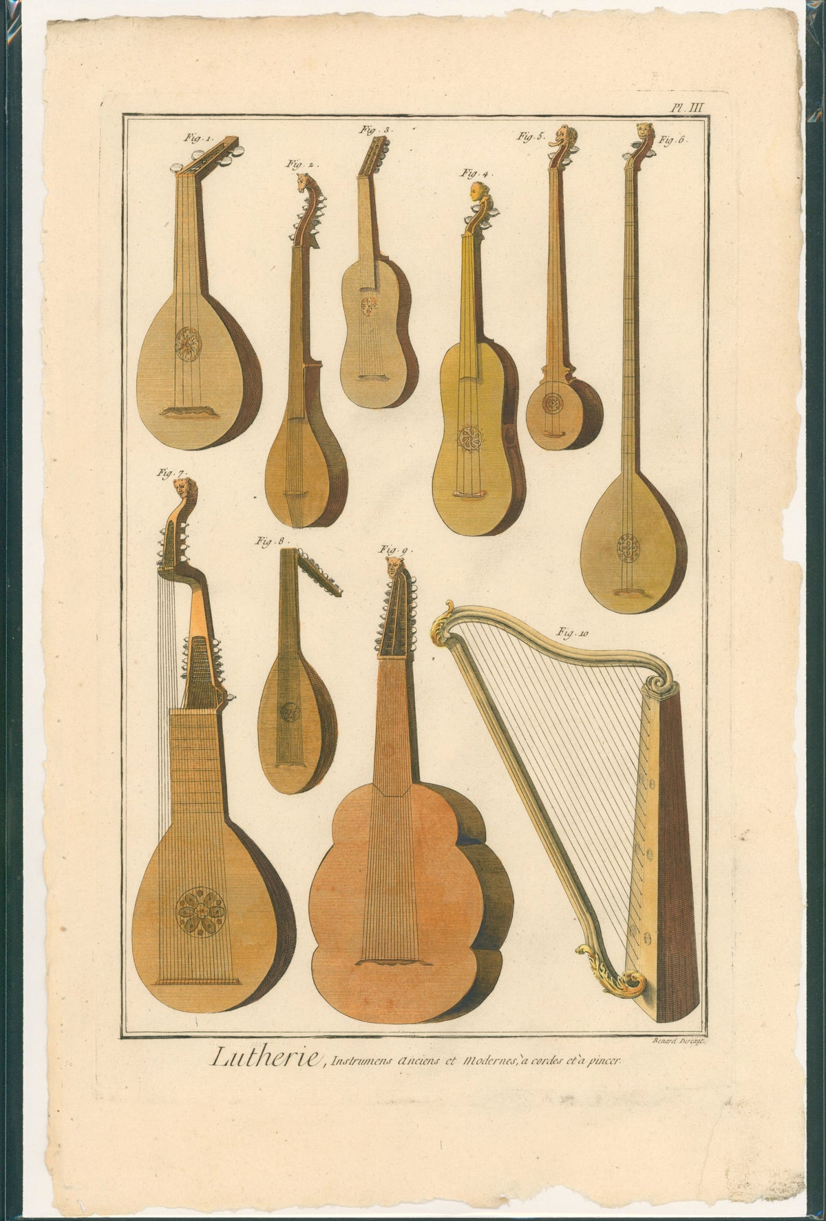 Mandolin, Violin, String Instruments- Hand Colored Engraving