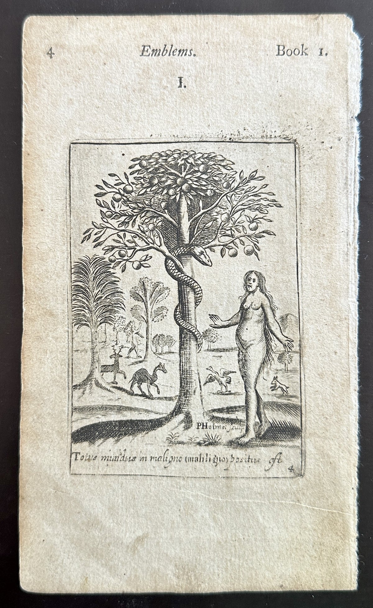 Garden of Eden- Emblem, Copper Engraving