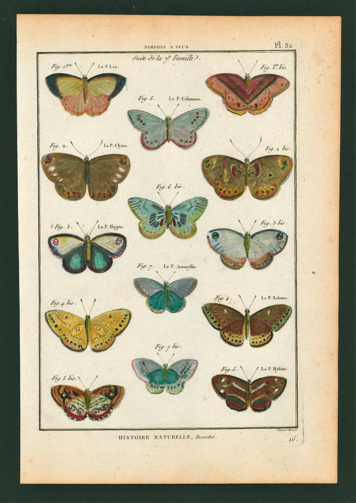 Latreille Butterflies- Hand Colored Engraving - Authentic Vintage Antique Print